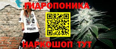 сатива Краснознаменск