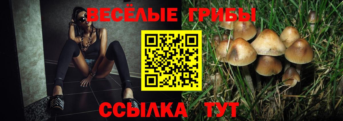 Галлюциногенные грибы прущие грибы  Псилоцибиновые грибы прущие грибы  Канаш  Вход с VPN 